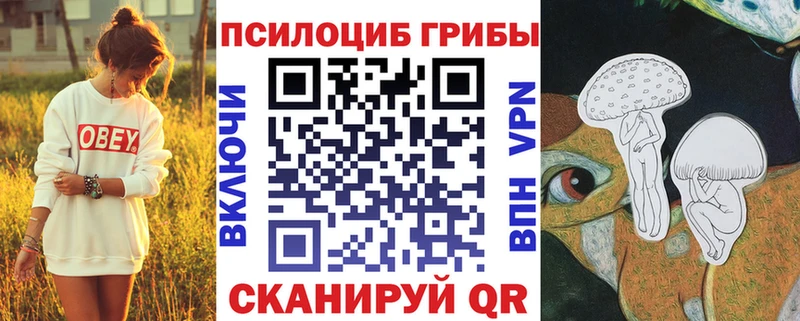 закладка  гидра   Псилоцибиновые грибы MAGIC MUSHROOMS  Весьегонск 